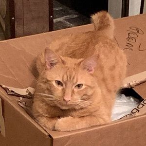 Meet your Posher, Teri